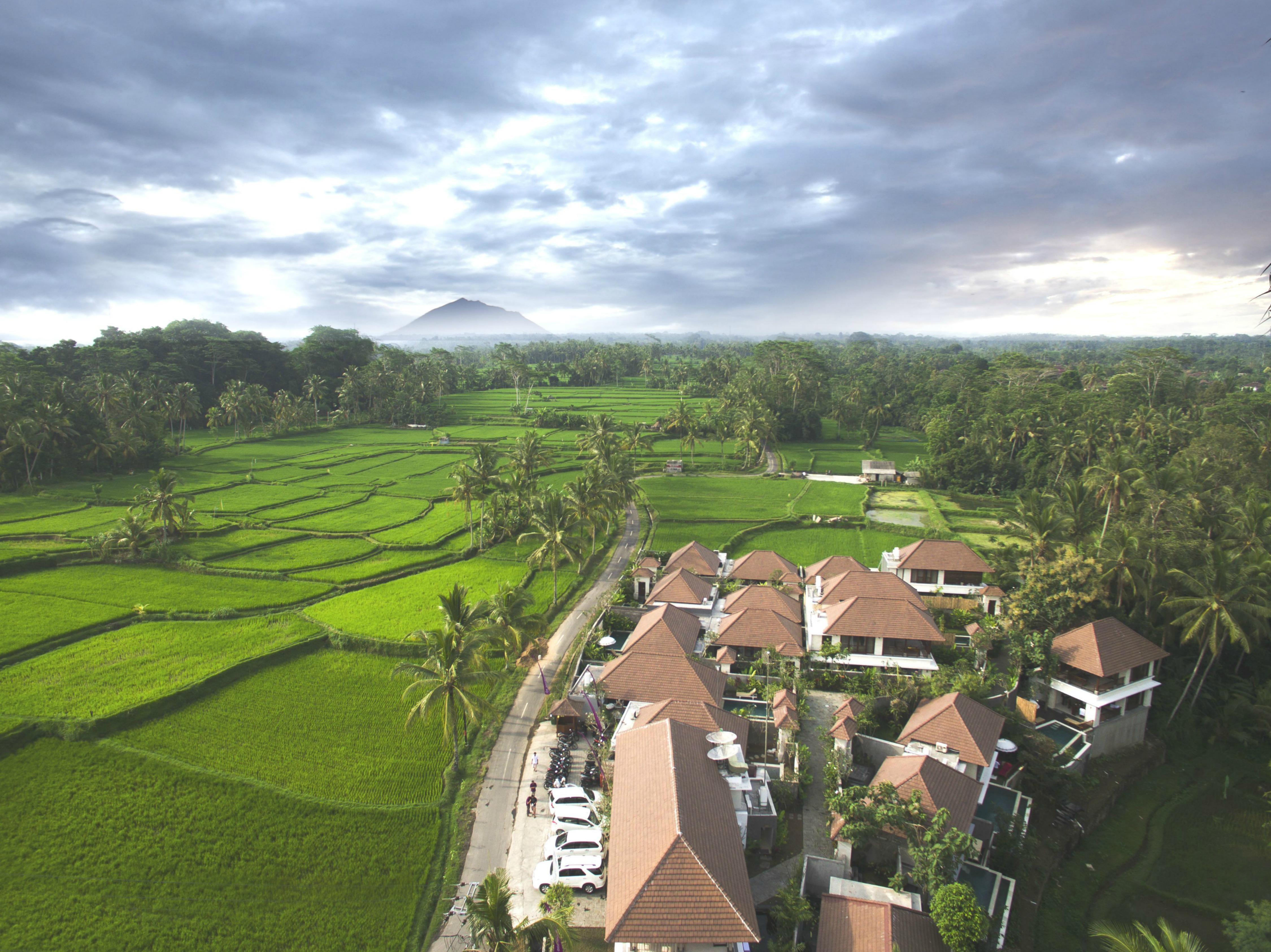 Dedary & By Ini Vie Hospitality Ubud